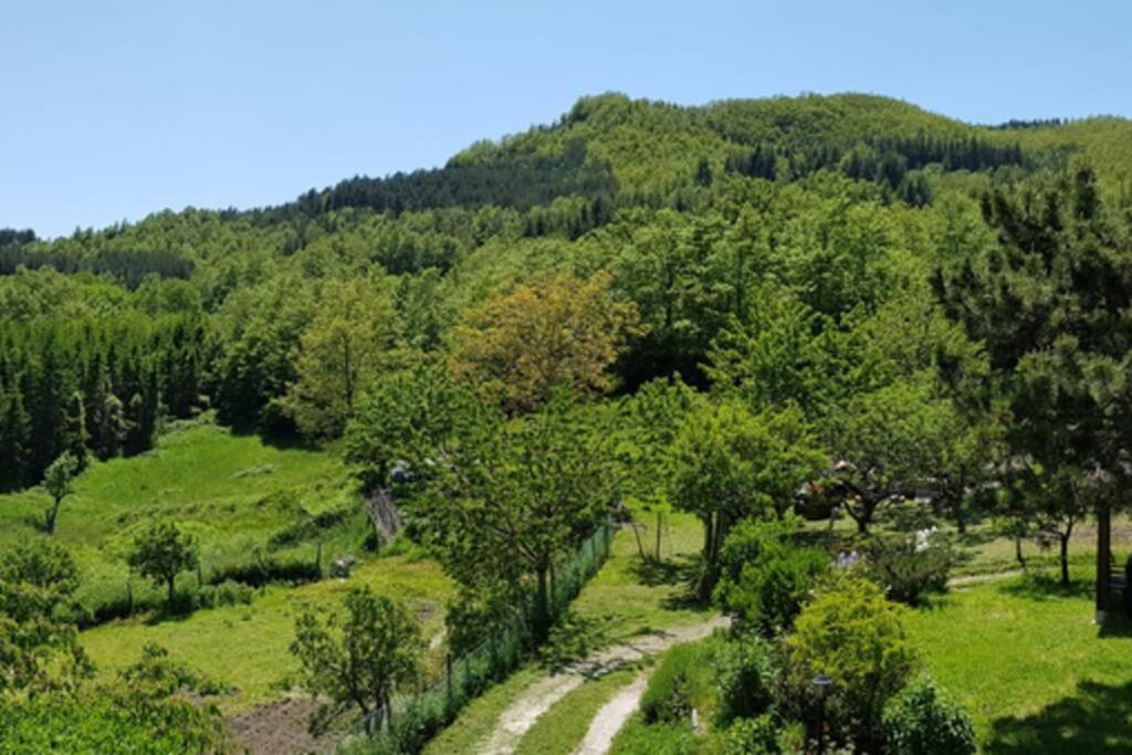La Sala Vecchia - Lovely Tuscan Holiday House Badia Prataglia, Casentino Valley Chiusi della Verna Εξωτερικό φωτογραφία